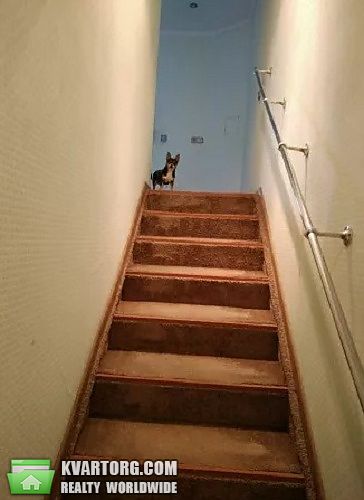 Sell 3-room apartment. Киев, пр. Лобановского — photo 5
