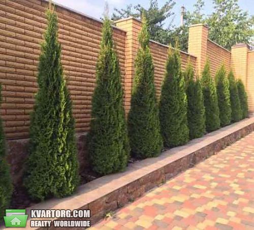 Sell house. Киевская обл., Музычи — photo 4