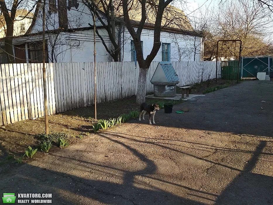 Sell house. Киевская обл., Святопокровская — photo 10