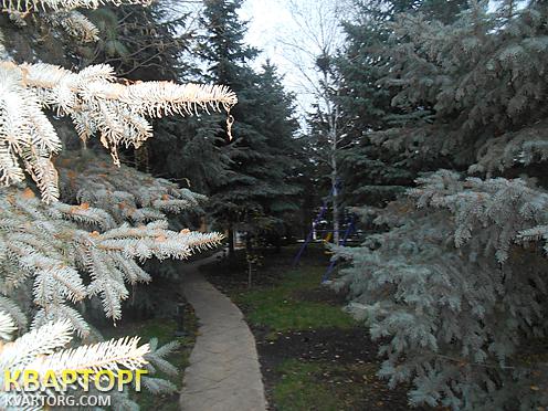 Sell house. Луганск, 3-е водохранилище — photo 4