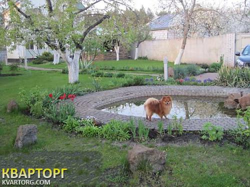 Rent out house. Киевская обл., Украинка — photo 2