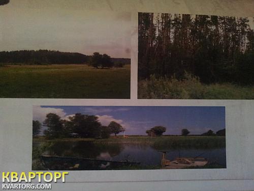 Sell house. Киевская обл., Бородянка — photo 3