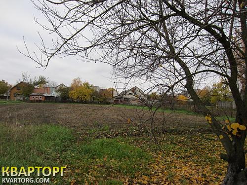 Sell house. Киевская обл., Ленина — photo 5