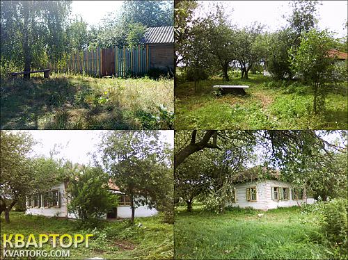 Sell house. Киевская обл., с. Лутава — photo 1