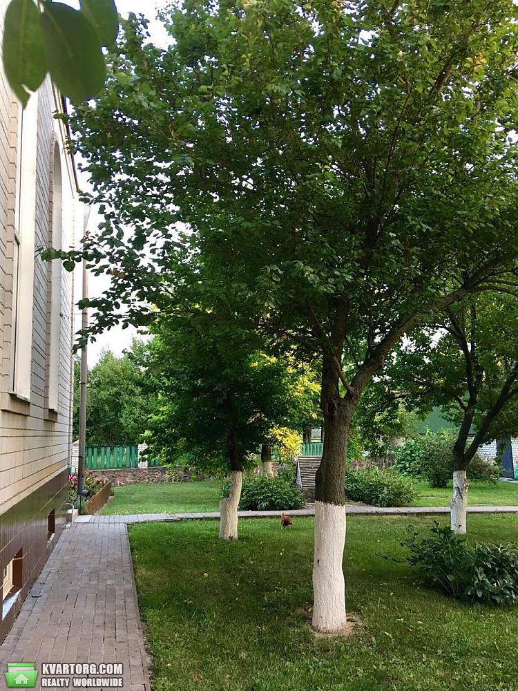 Sell house. Киевская обл., Л.Украинки — photo 3