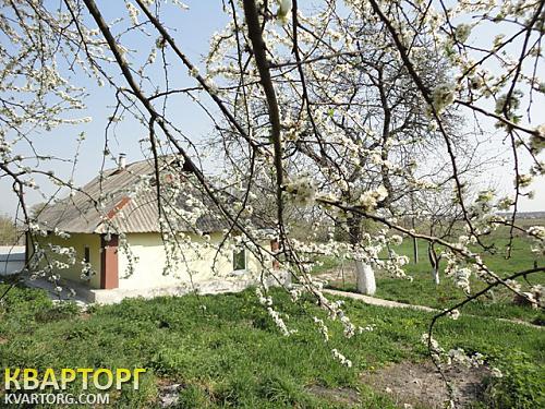 Sell house. Киевская обл., Подгорная — photo 1