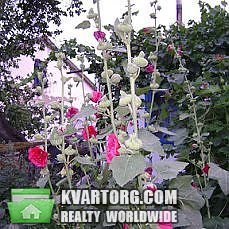Sell house. АР Крым, с.Магазинка — photo 8
