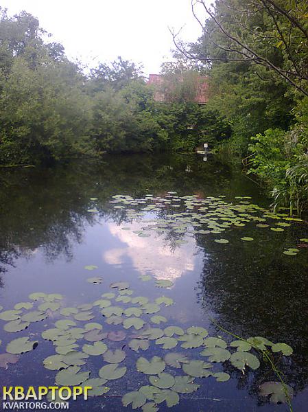 Rent out house. Киев, Чапаевка — photo 3