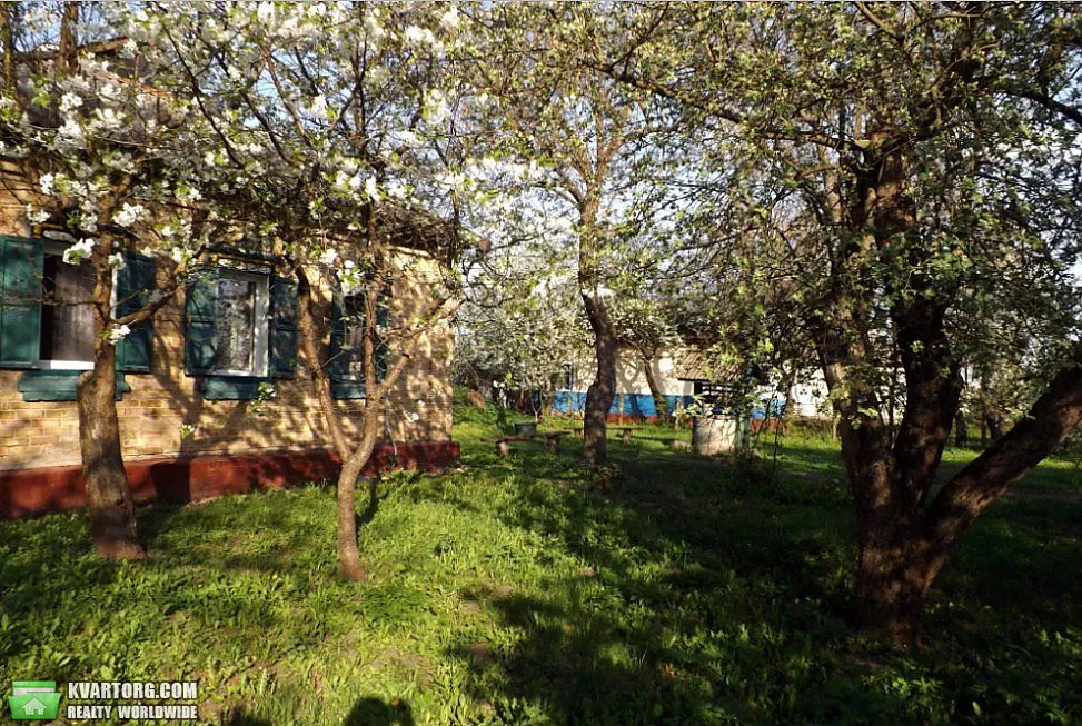 Sell house. Чернигов, Носовка — photo 2