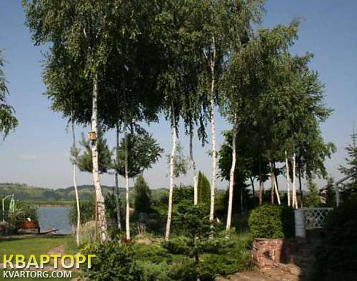 Rent out house. Киевская обл., Безрадичи — photo 2