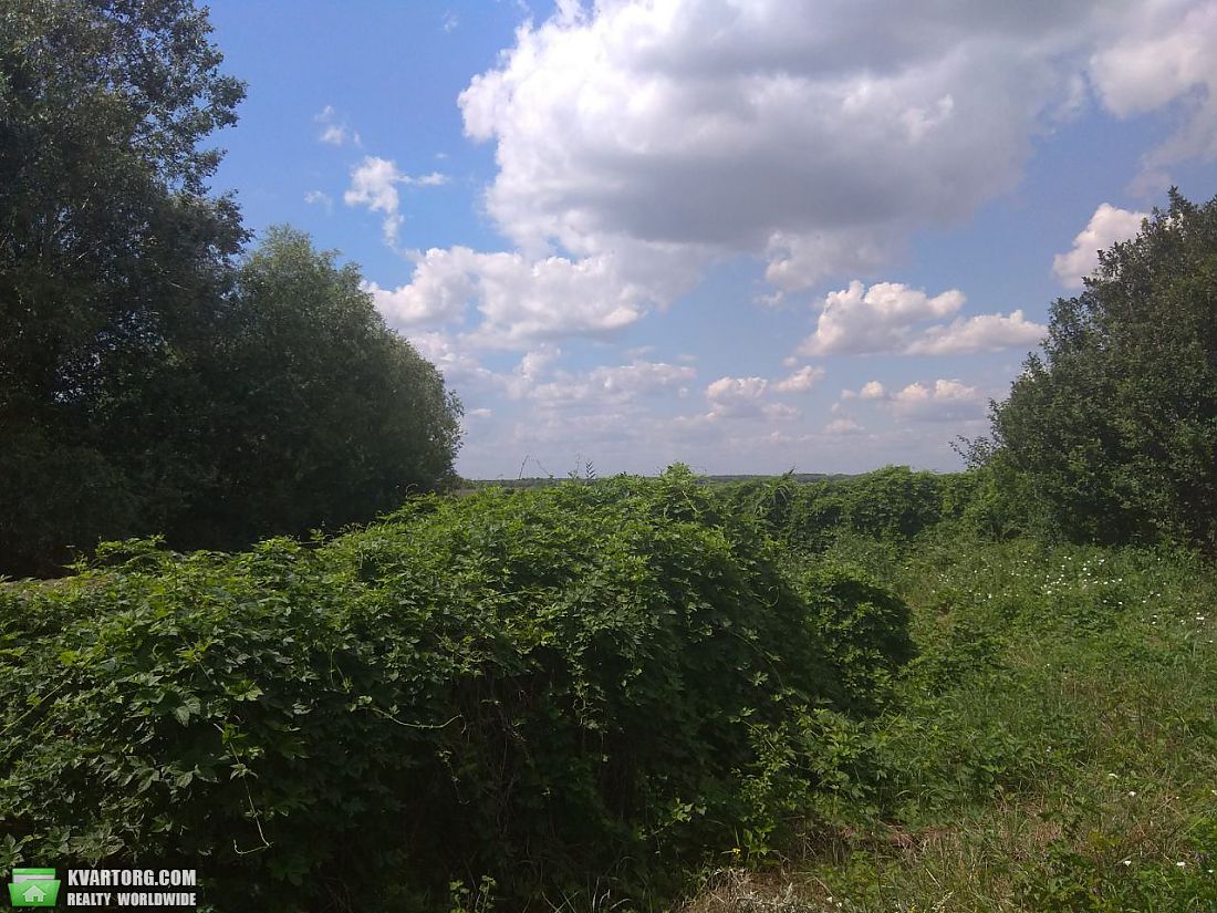 Sell house. Одесса, Троицкое — photo 10