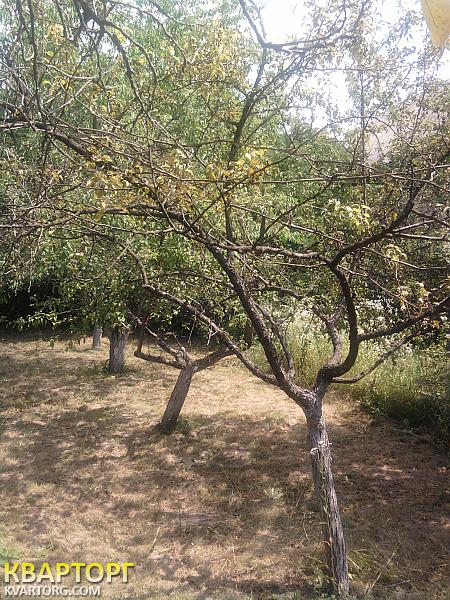 Sell house. Киевская обл., Гатное — photo 2