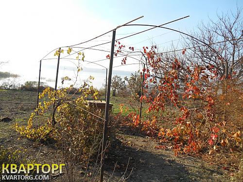 Sell house. Одесса, Мариновка — photo 3