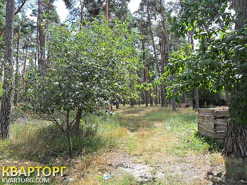 Sell house. Киевская обл., Песковка — photo 6