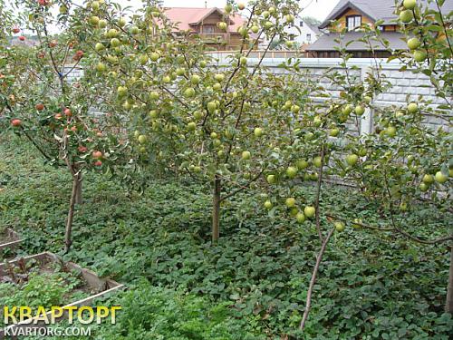 Sell house. Киевская обл., Гатное — photo 2