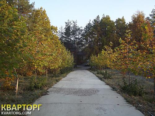 Rent out house. Киевская обл., Ст. Петровцы — photo 4