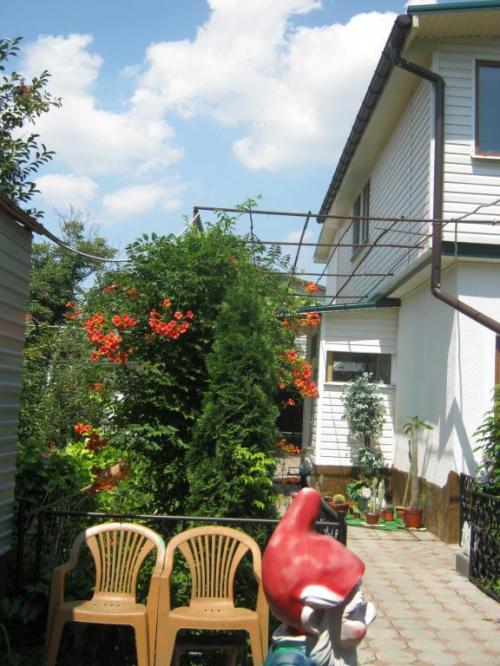 Rent out house. Одесса, Южная дорога 33 — photo 1
