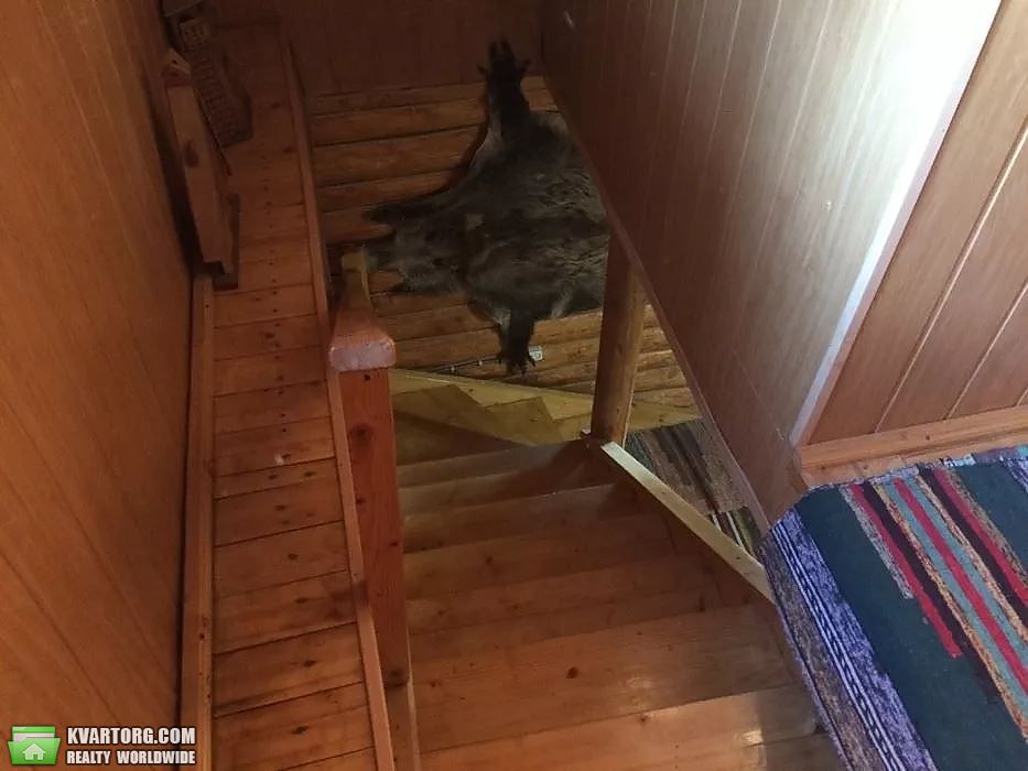 Sell house. Ужгород, Шевченка — photo 3