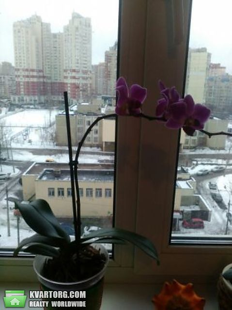 Sell 3-room apartment. Киев,  Срибнокильская — photo 7