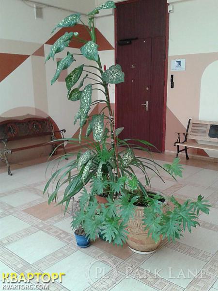 Sell 2-room apartment. Киев,  Лютеранская — photo 4