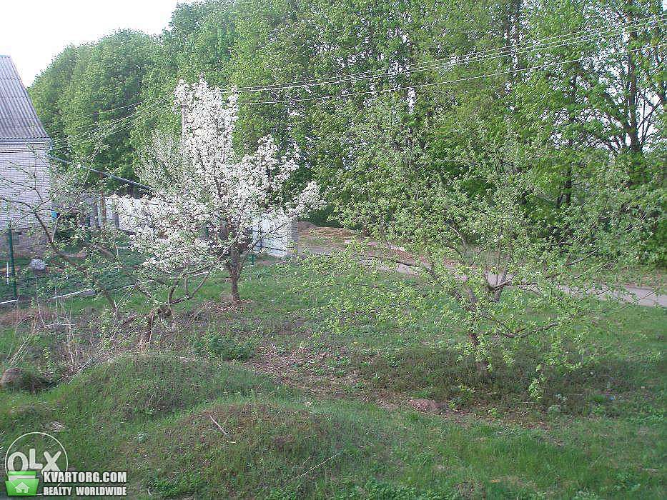 Sell house. Киевская обл., Независимости — photo 4
