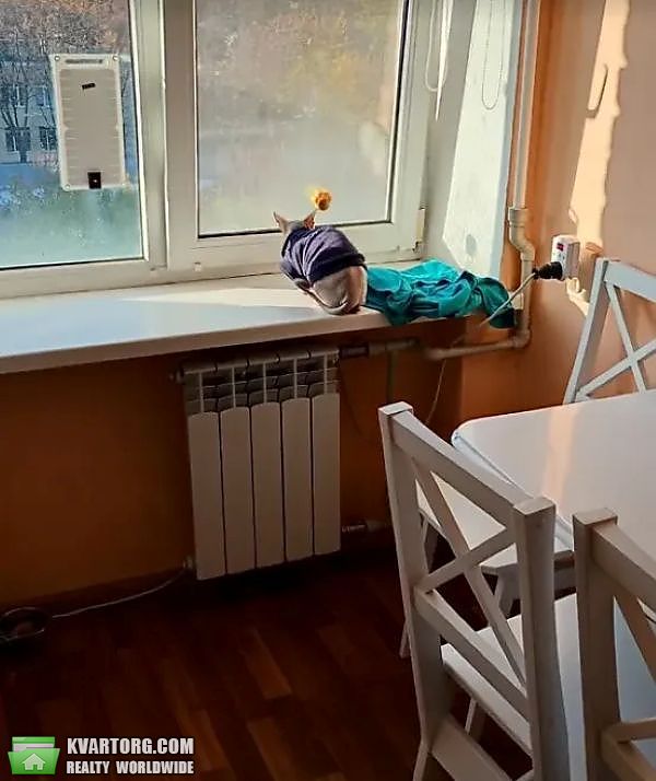 ������ 1-��������� �������� �����, ��.������ ������ - ���� 4
