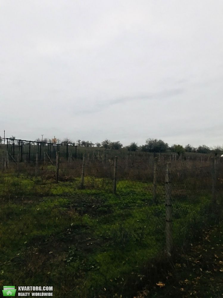 Sell house. Одесса, Мира / Васильевка Беляевс — photo 7