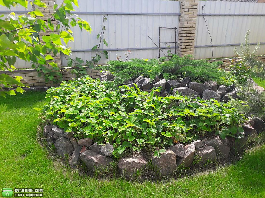 Sell house. Борисполь, дачная — photo 6