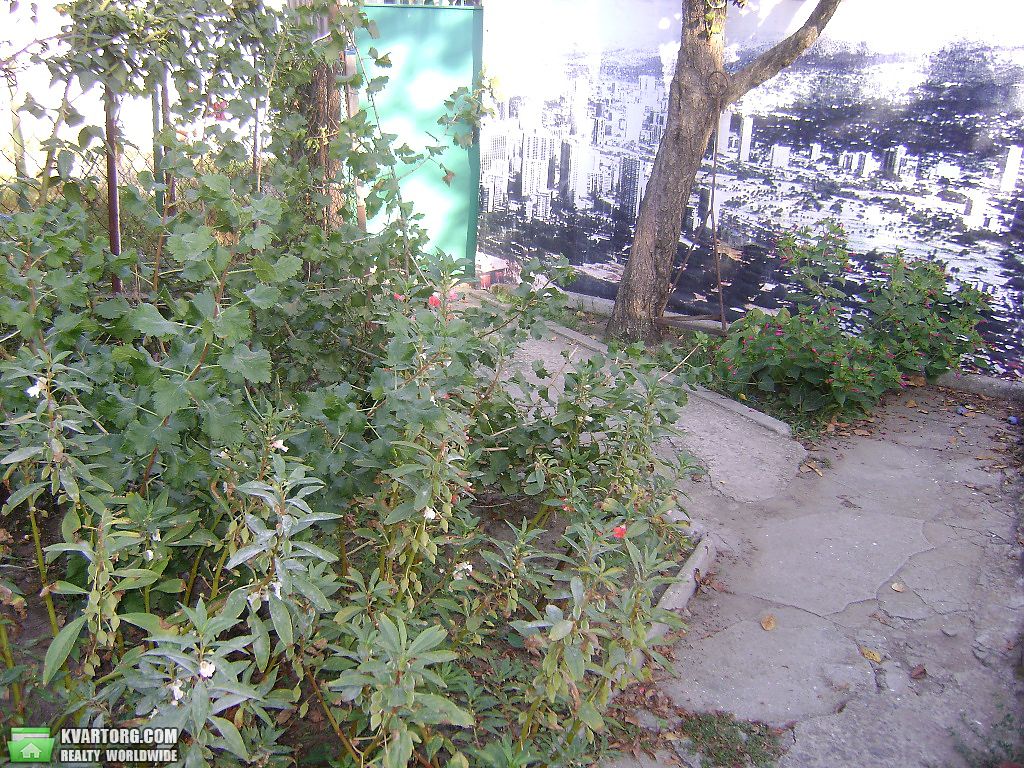 Sell house. Одесса, Толбухина — photo 3