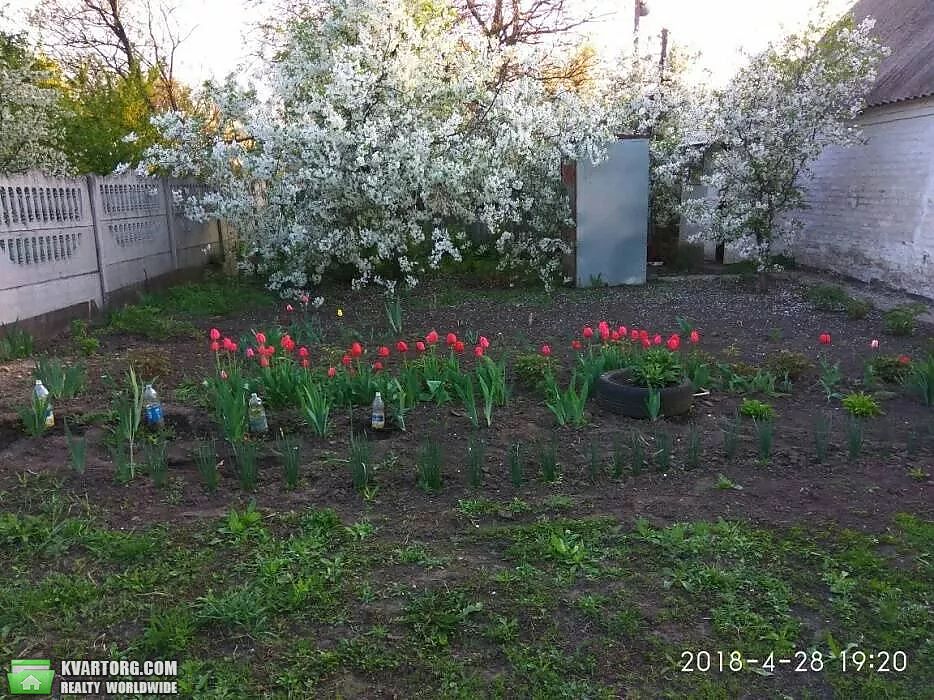 Sell house. Киевская обл., Ватутина — photo 7