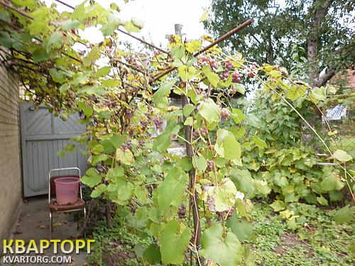 Sell house. Киевская обл., Тарасовка — photo 10