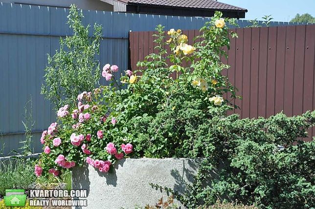 Rent out house. Васильков, Мархаловка — photo 2