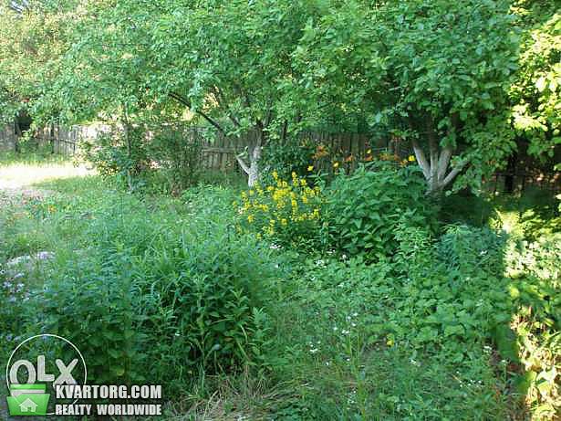 Sell house. Борисполь, Займище — photo 7