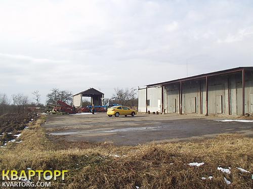 Sell warehouse. Львов, Куровичи — photo 2