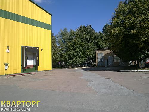 Rent out warehouse. Киевская обл., Киевская — photo 2