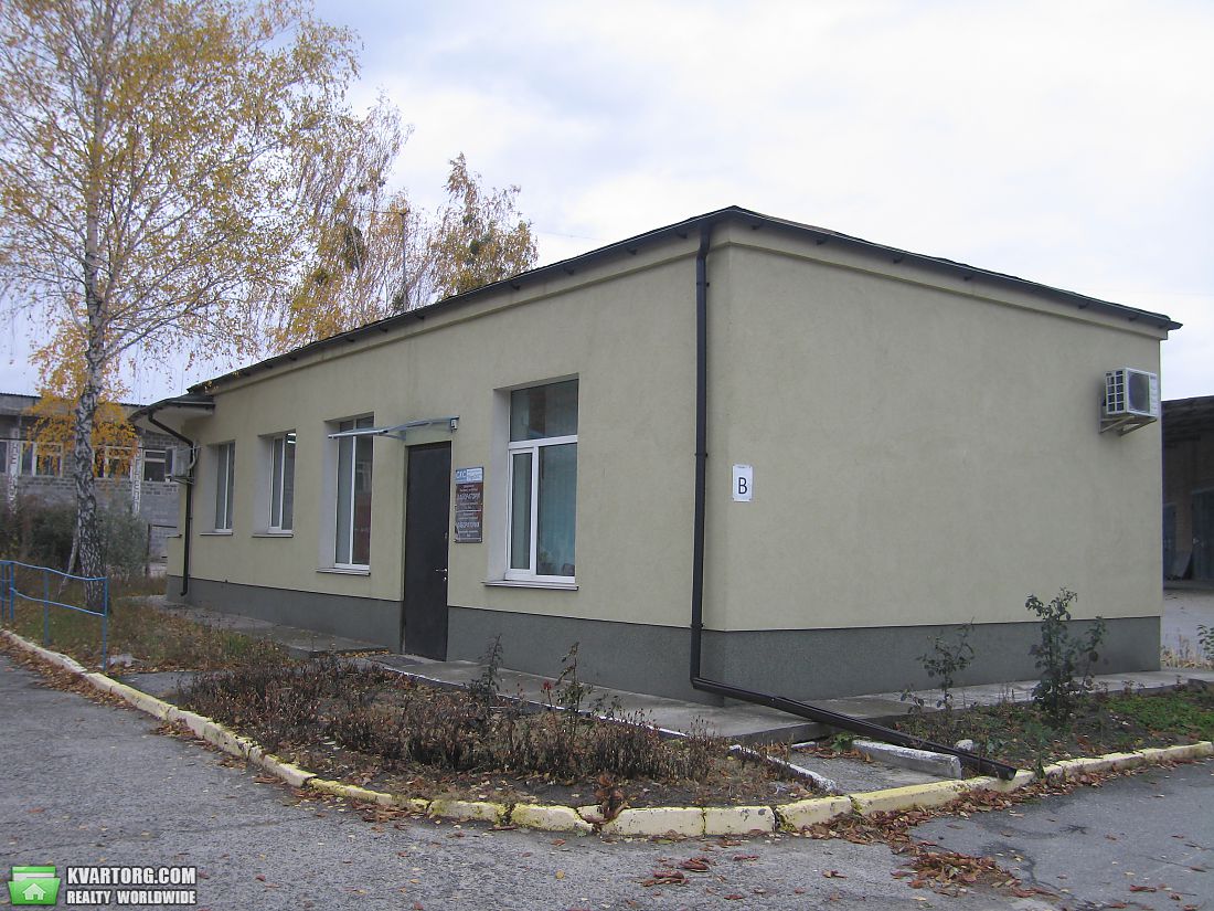 Rent out office. Киевская обл., Шевченко — photo 5
