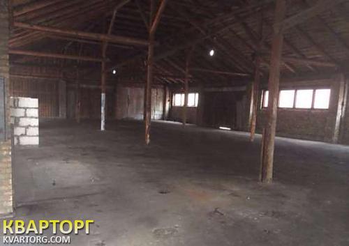 Rent out warehouse. Киевская обл., Коцюбинское — photo 1