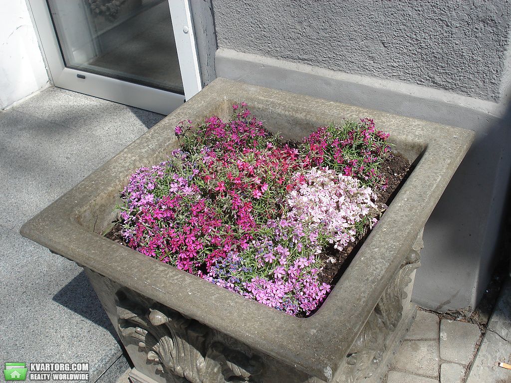 Sell house. Одесса, Летняя — photo 9