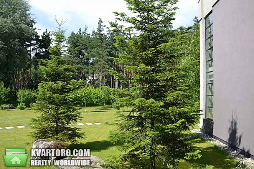 Rent out house. Киевская обл., Таценки — photo 3