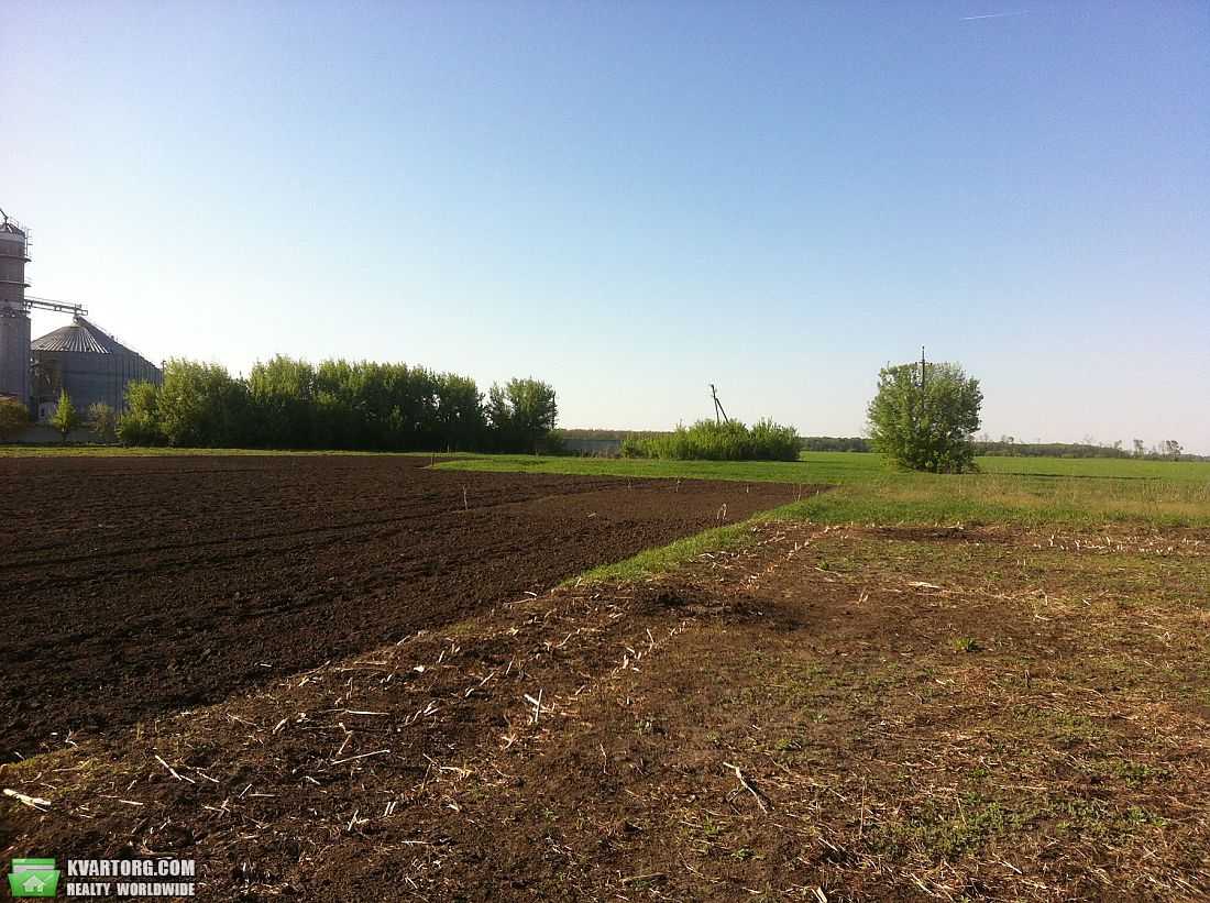 Sell house. Киевская обл., Устимовка — photo 6