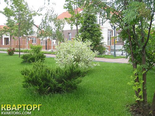 Sell house. Киевская обл.,  Золочевская — photo 5