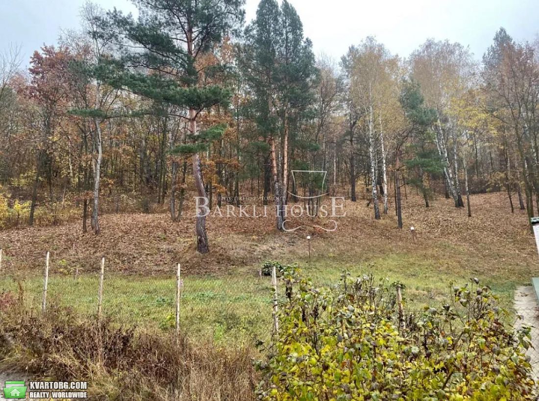 Rent out house. Киевская обл., Старые Безрадичи — photo 10