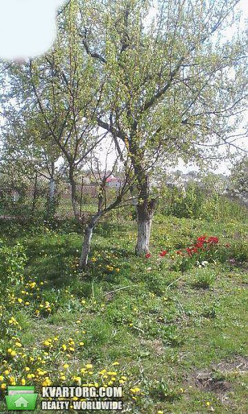 Sell house. Киевская обл., Шевченка — photo 9
