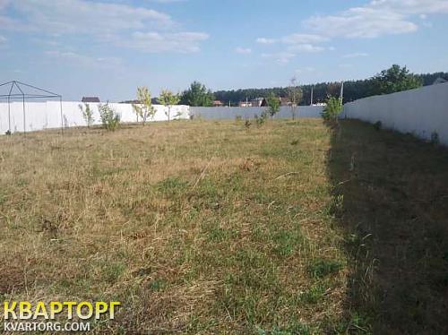 Sell house. Киевская обл.,  Щорса — photo 6