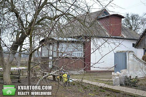Sell house. Киевская обл., Скригаловка — photo 2