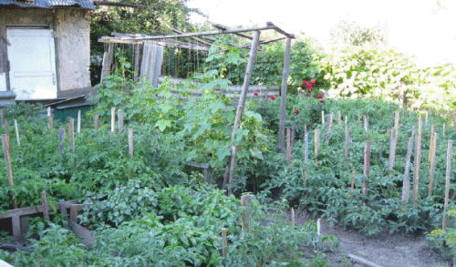 Sell house. Одесса, Дача Ковалевского — photo 1