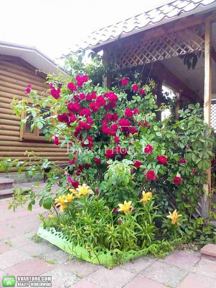 Rent out house. Киевская обл., Новоселки — photo 9