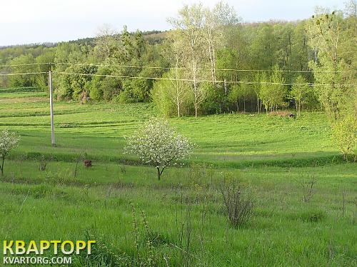 Sell house. Киевская обл., Юшки — photo 5