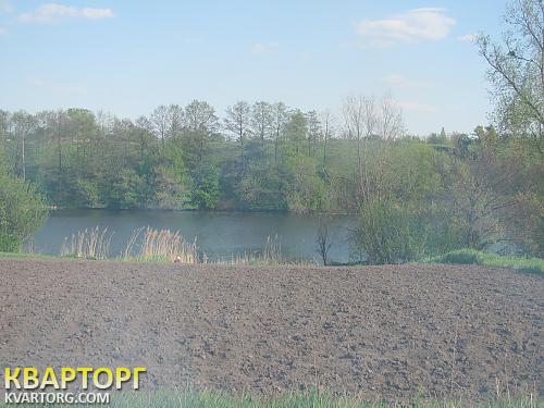 Sell house. Киевская обл., Яблонивка — photo 7