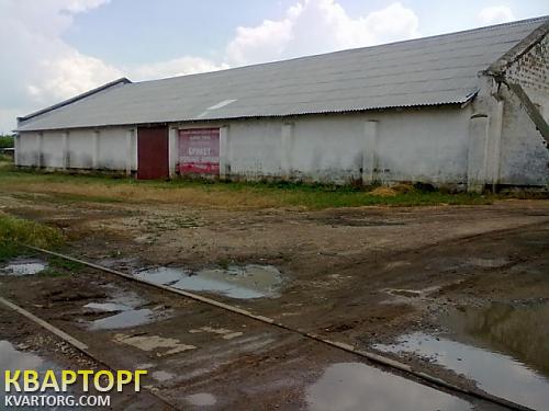 Sell warehouse. Херсон, на юге — photo 3